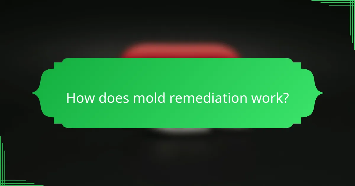 How does mold remediation work?
