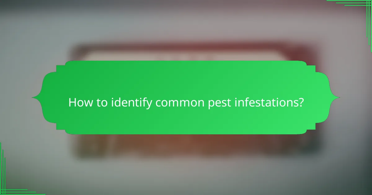 How to identify common pest infestations?