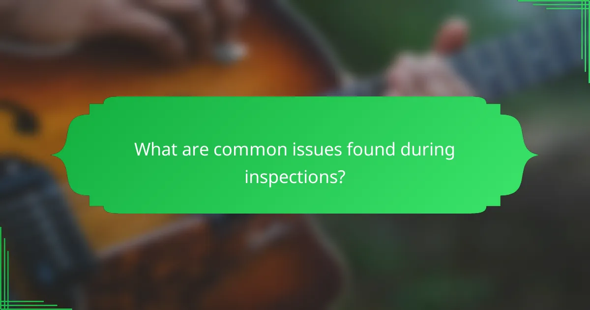 What are common issues found during inspections?